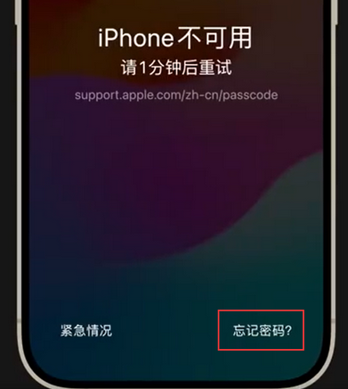 分宜苹果手机密码维修分享iPhone忘记了刚设置的密码 